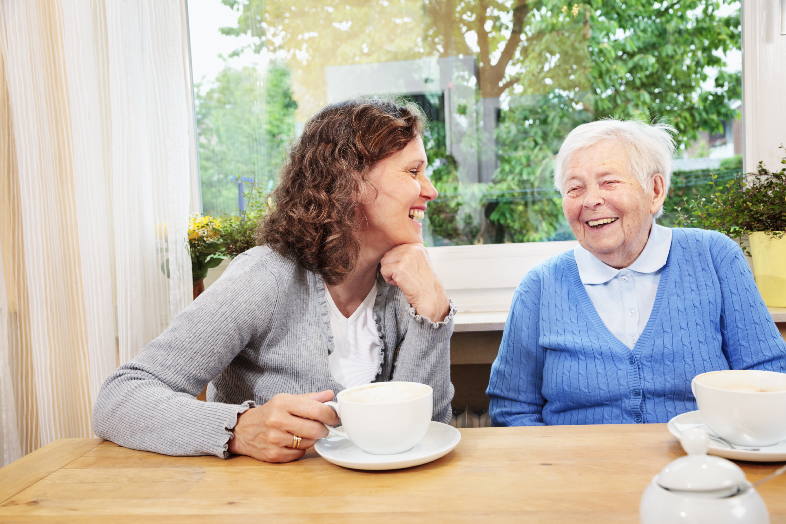 Семейные пожилых с разговорами. Пожилые люди. Беседа с пожилым. Общение с пожилыми людьми. Встреча пожилых людей.